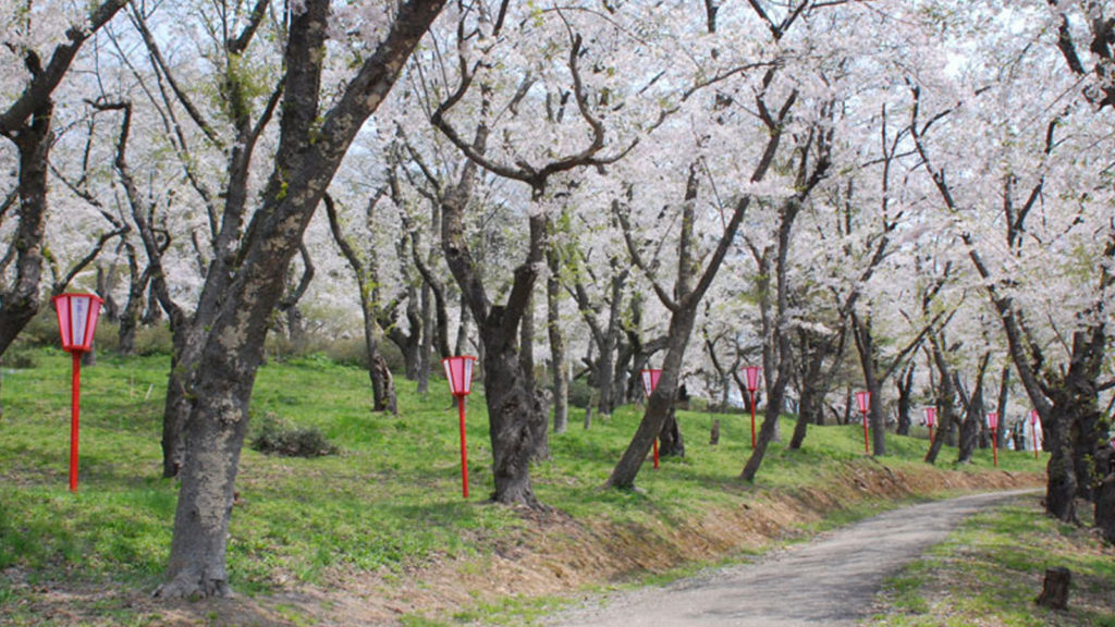 大森公園さくらまつり