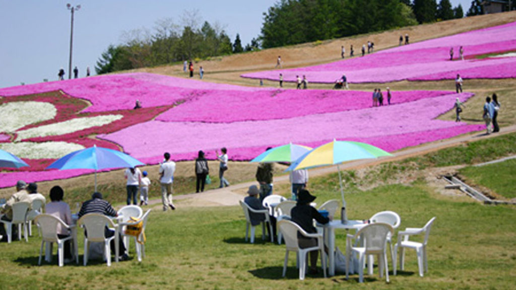 大森リゾート村芝桜フェスタ