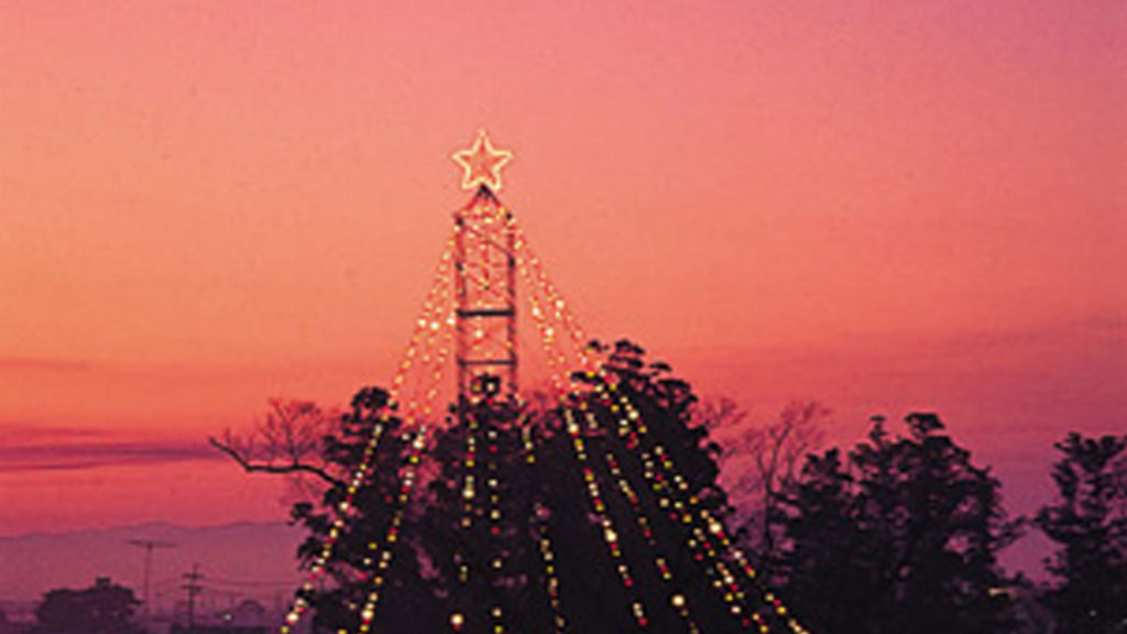 槻の木光のファンタジー