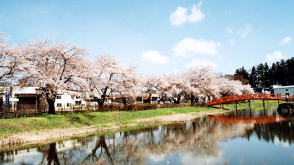 梨木公園
