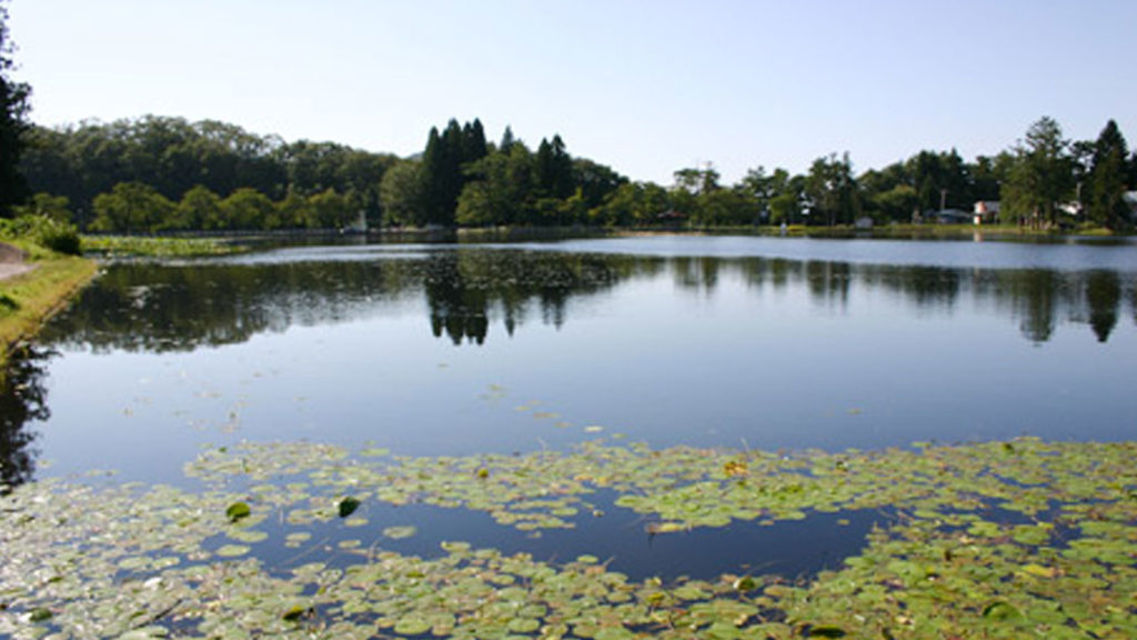 鶴ヶ池公園