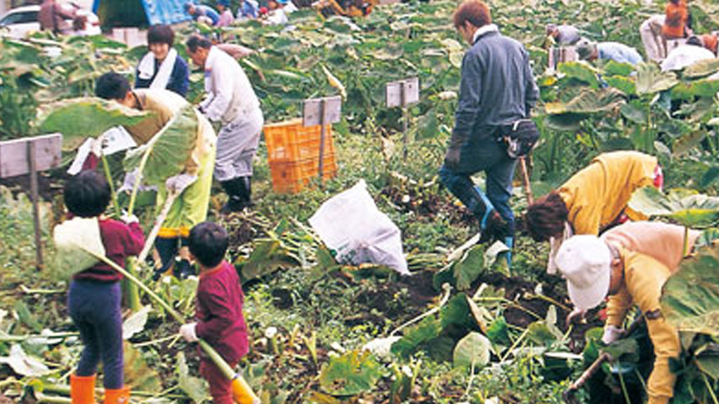 いものこオーナー 山内地区 一般社団法人横手市観光推進機構