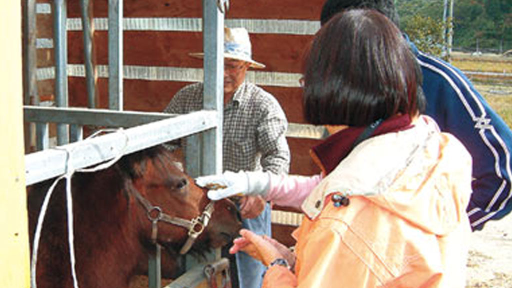 Farm work experience (Omori area)