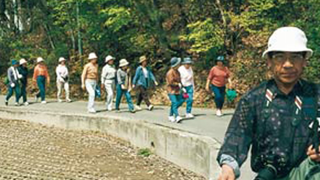 Walking