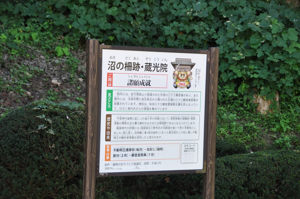 Fort of swamp