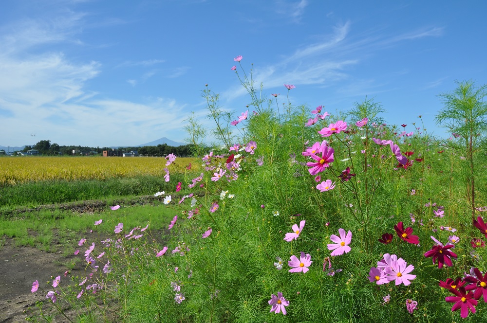たいゆう緑花園