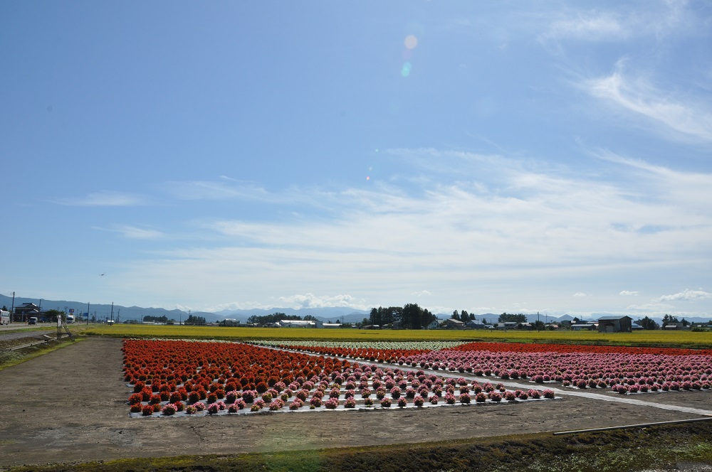 たいゆう緑花園