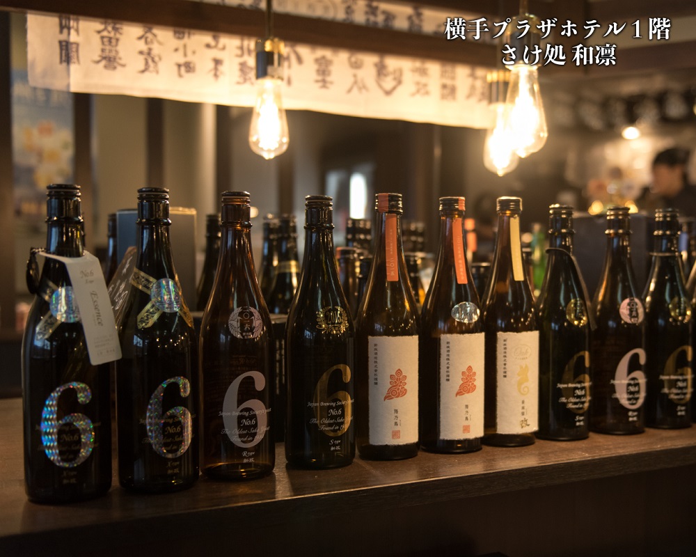 Yokote Plaza Hotel