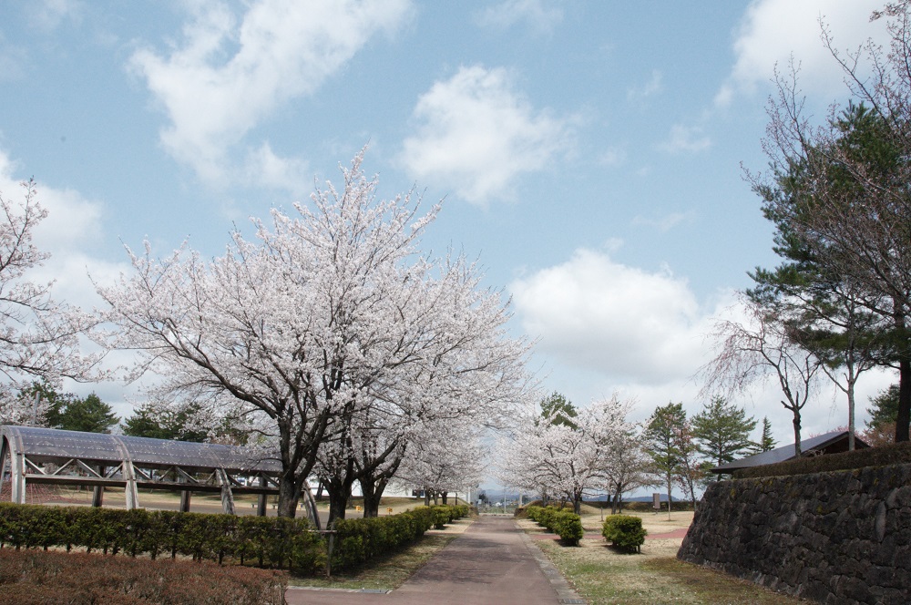 雄物川中央公園