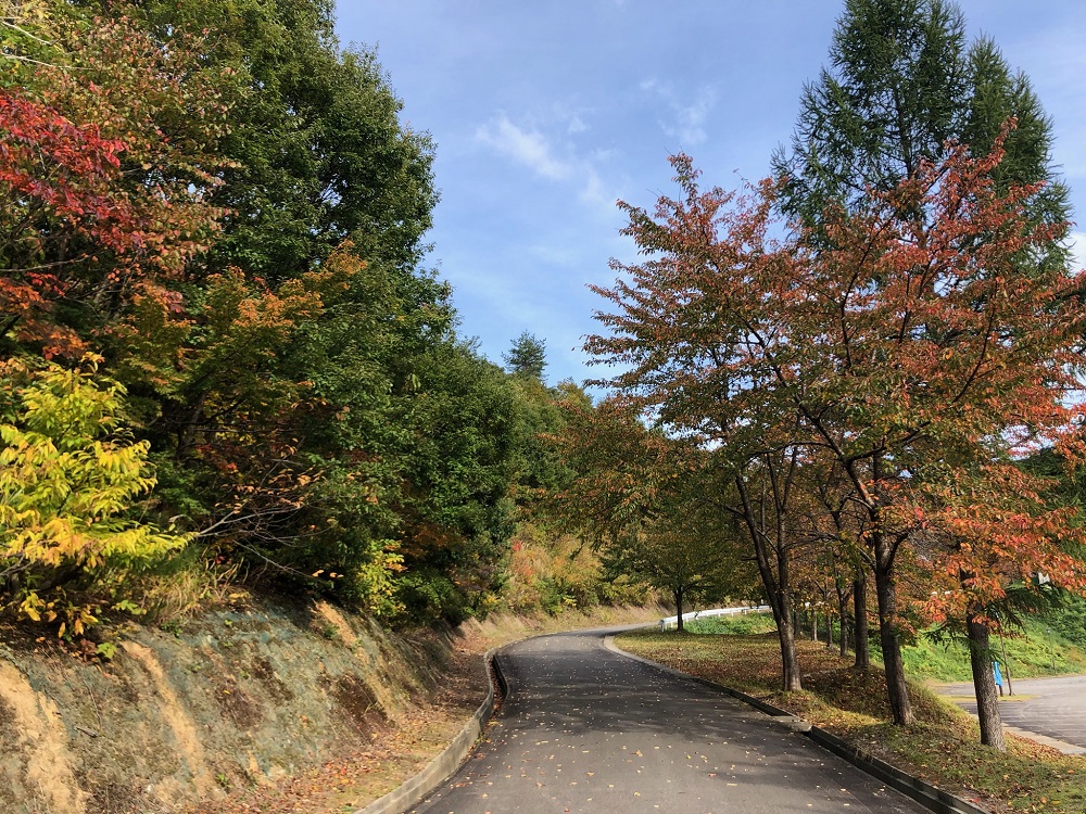 Omatsukawa Dam Park