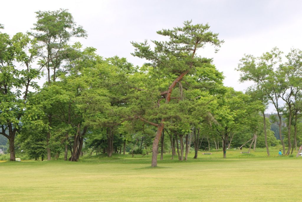 雄物川河川公園