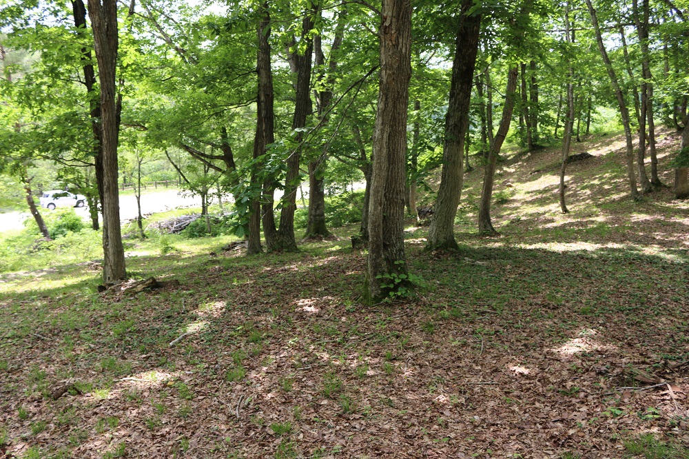 鍛冶台いこいの森