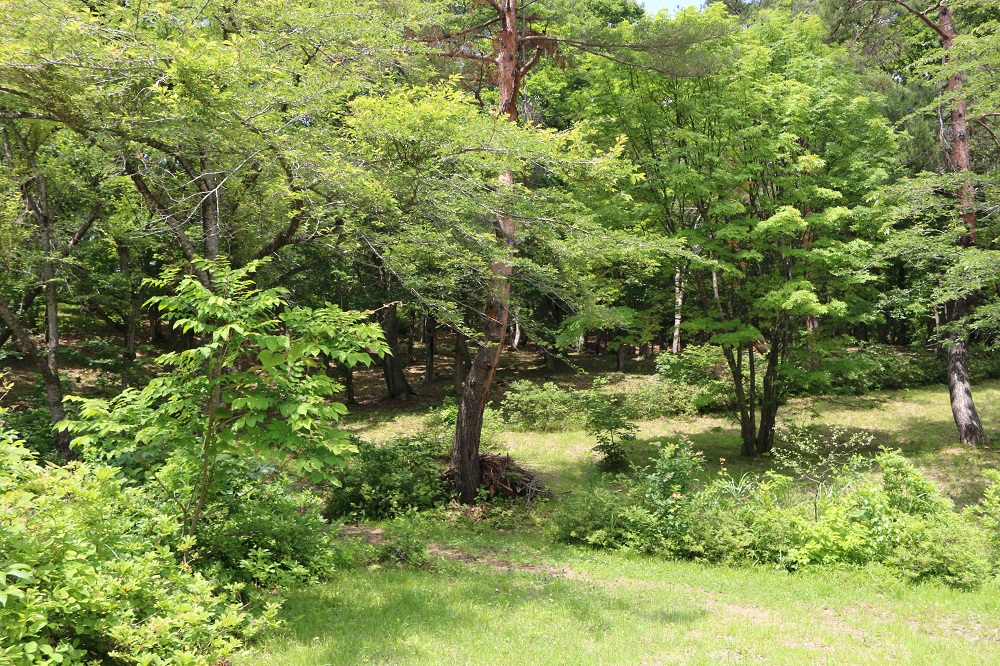 鍛冶台いこいの森