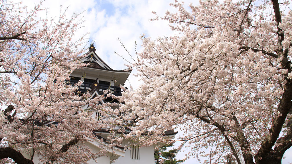 よこて桜まつり