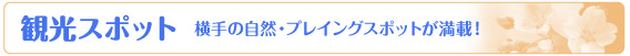 観光スポットインデックス