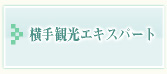 横手観光エキスパート